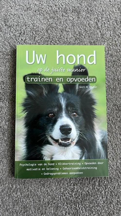 Uw hond trainen en opvoeden - Geert de Bolster, Boeken, Dieren en Huisdieren, Zo goed als nieuw, Honden, Ophalen of Verzenden
