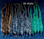 16 Variegated Magnum Dragon Tail staarten van circa 21 cm, Ophalen, Nieuw, Complete set