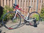 Specialized Dolce comp maat S (48cm), Fietsen en Brommers, Fietsen | Racefietsen, Aluminium, Minder dan 49 cm, Zo goed als nieuw