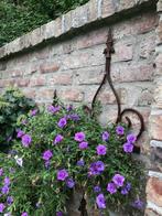 plantenhangers, Ophalen, Gebruikt