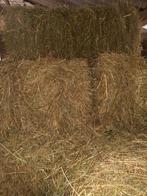 29 pakjes onbemest natuurweide hooi |1e snede 2025|, Dieren en Toebehoren, Dierenvoeding, Ophalen, Vee
