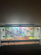 Dieren, Dieren en Toebehoren, Ophalen of Verzenden, Zo goed als nieuw, Terrarium of Paludarium