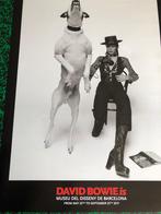 DAVID BOWIE Poster DIAMOND DOGS , Ophalen of Verzenden, Zo goed als nieuw, Fotografen