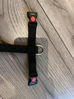 Puppy xy tuigje, Dieren en Toebehoren, Ophalen of Verzenden, Zo goed als nieuw