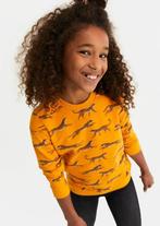 Mooie gele WE sweater met luipaardprint maat 146-152., Kinderen en Baby's, Kinderkleding | Maat 146, Meisje, Trui of Vest, WE Fashion