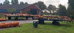 Volop Halloweenpompoenen,  sierfruit en eetbare pompoenen, Ophalen, Nieuw