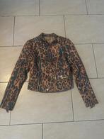 Prachtig Josh V bikerjack met luipaardprin, Bruin, Ophalen of Verzenden, Zo goed als nieuw, Jasje