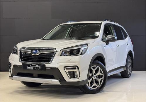 Subaru Forester e-BOXER | Grijs kenteken | Carplay | Trekhaa, Auto's, Bestelauto's, Bedrijf, Te koop, Achteruitrijcamera, Adaptive Cruise Control