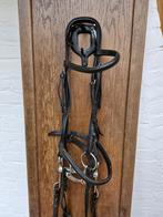 Stang&trens, Dieren en Toebehoren, Ophalen of Verzenden, Gebruikt, Dressuur