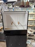 TT kooien, Dieren en Toebehoren, Ophalen, Hout