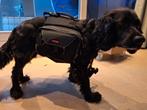 Honden rugtas EzyDog Summit maat M =hond van 16-32kg, Dieren en Toebehoren, Honden-accessoires, Ophalen, Zo goed als nieuw