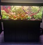Juwel aquarium Rio 240 met onderkast., Dieren en Toebehoren, Vissen | Aquaria en Toebehoren, Ophalen, Zo goed als nieuw, Gevuld zoetwateraquarium