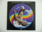 lp PAUL WINTER - COMMON GROUND -AM RECORDS, 1978, Cd's en Dvd's, 1960 tot 1980, Ophalen of Verzenden, 12 inch