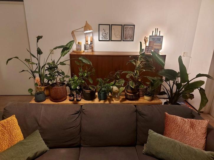 Mooie sidetable, bijv. voor planten, Huis en Inrichting, Tafels | Sidetables, Zo goed als nieuw, 25 tot 50 cm, 150 tot 200 cm