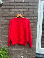 Neidis clothes trui maat 38 bloemen, Kleding | Dames, Ophalen of Verzenden, Zo goed als nieuw, Maat 38/40 (M)