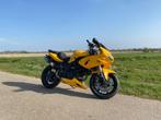 Suzuki SV 650 S 1999 SV650/ Bagster/ Ohlins/ Shark/ VFR SSSA, Motoren, 2 cilinders, Meer dan 35 kW, 645 cc, Sport