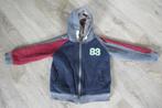 Vest maat 110, Europe Kids, Trui of Vest, Ophalen of Verzenden, Zo goed als nieuw
