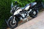 MV Agusta STRADALE 800 F3 ABS EAS TC QSHIFTER (bj 2015), Motoren, Motoren | MV Agusta, Bedrijf, 3 cilinders, Sport, Meer dan 35 kW