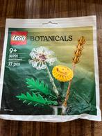 Lego Botanicals Veldbloemen 30701 met kartonnen vaasje., Ophalen of Verzenden, Nieuw