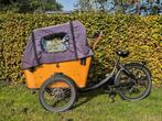 Zeer net Qivelo Curve DR7 elektrische bakfiets, 4 kinderen of meer, Gebruikt, Elektrisch, Ophalen