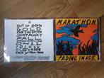 Marathon Ticket + Lidmsch Paradiso 29.12 + Fading Image CD, Eén persoon