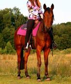 Western showset, Ophalen of Verzenden, Zo goed als nieuw, Western, Dames