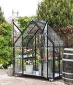 greenhouse zwart - tuinkas - plantenkas , vintage kas, Nieuw, Kweekkas, Ophalen of Verzenden, Glas