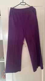 Nieuwe broek van Enjoy maat L, Paars, Maat 42/44 (L), Enjoy, Nieuw