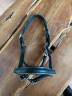 Leren halster maat full, Ophalen of Verzenden, Gebruikt, Overige soorten