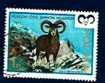 Fauna - Dieren - Moeflon - Polen 1 Zt. - gebr, Ophalen of Verzenden, Gestempeld, Dier of Natuur