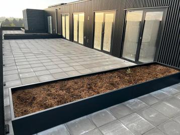 Nieuwe stalen Plantenbak - 5m x 1.20m beschikbaar voor biedingen