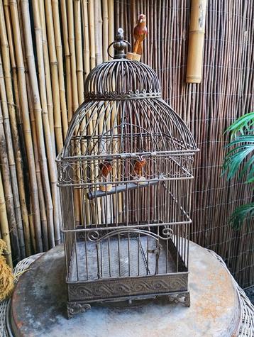 Metalen volgelkooi met kleine vogeltjes beschikbaar voor biedingen