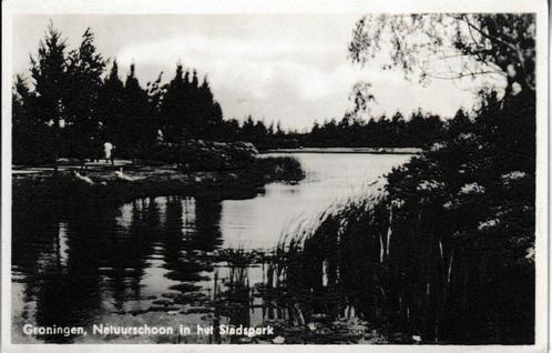 GONINGEN - NATUURSCHOON in het  STADSPARK, Verzamelen, Ansichtkaarten | Themakaarten, Gelopen, 1940 tot 1960, Natuur, Verzenden