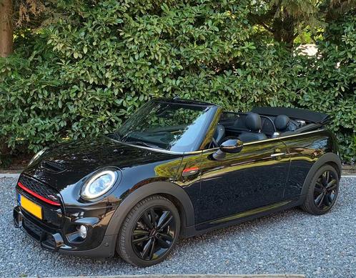 MINI Cabrio, 2.0 John Cooper Works, JCW, leder, xenon, F1,, Auto's, Mini, Particulier, Cabrio, ABS, Achteruitrijcamera, Adaptieve lichten