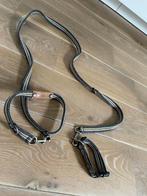 Honden riem voor teckel, Ophalen of Verzenden, Nieuw