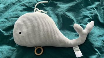Muziek walvis jolein beschikbaar voor biedingen