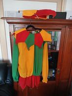 Carnavalskleding - Narrenpak met muts - Maat XXL. Sla toe!, Carnaval, Maat 46/48 (XL) of groter, Carnavals Wierts, Ophalen of Verzenden