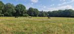Paardenstalling Baarle-Nassau, Dieren en Toebehoren, Stalling en Weidegang, Weidegang, 1 paard of pony
