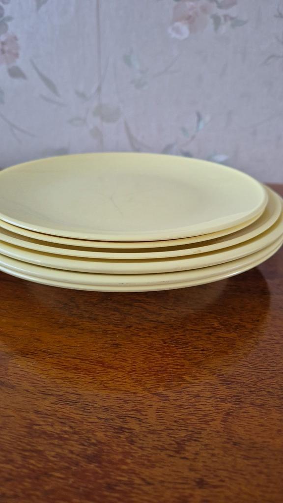 Nostalgische Mepal Borden - Jaren 60 Camping, Huis en Inrichting, Keuken | Servies, Gebruikt, Bord(en), Overige stijlen, Overige materialen