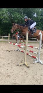 Ervaren (Spring) ruiter aangeboden / (spring) paard gezocht, Dieren en Toebehoren, Ophalen of Verzenden