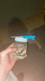 Mooie kunst, Antiek en Kunst, Ophalen