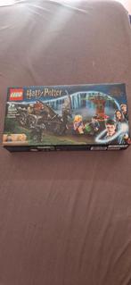 LEGO Hogwarts Carriage and Thestrals set, Nieuw, Complete set, Ophalen of Verzenden, Lego
