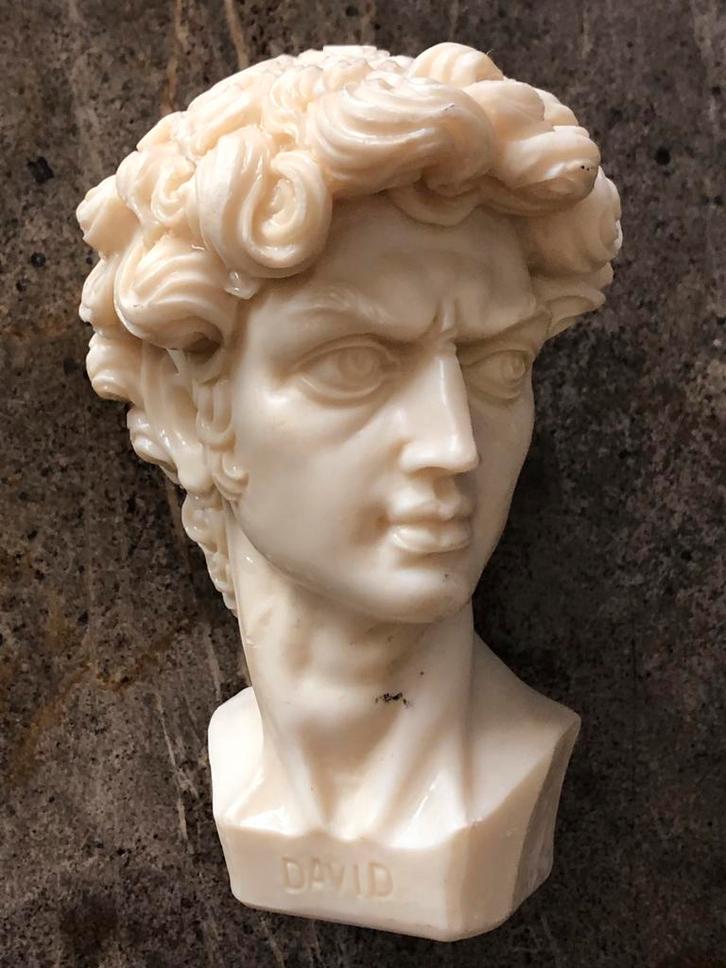David buste (Michelangelo) A. Gianetti - Marmercomosiet-, Antiek en Kunst, Kunst | Beelden en Houtsnijwerken, Ophalen of Verzenden