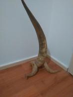 kunstwerk longhorn horens, Ophalen of Verzenden, Gebruikt, Overige soorten, Overige typen