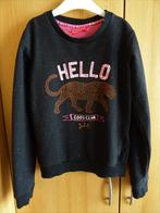 Jubel sweater, Trui of Vest, Zo goed als nieuw, Jubel, Verzenden