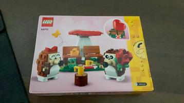 Lego hedgehog picnic date beschikbaar voor biedingen
