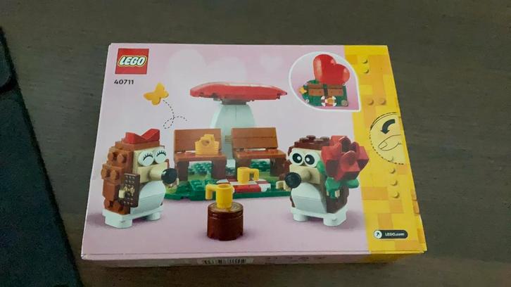 Lego hedgehog picnic date, Kinderen en Baby's, Speelgoed | Duplo en Lego, Nieuw, Lego, Complete set, Ophalen of Verzenden
