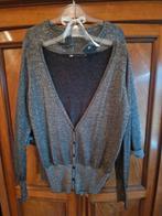 Twee glitter ~vestjes   🎄, Verzenden, Gedragen, Grijs