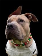 Kerst honden kettingen alle maten mogelijk, Dieren en Toebehoren, Ophalen of Verzenden, Nieuw