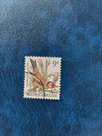 Vogel.  Putter. België., Postzegels en Munten, Ophalen of Verzenden, Dier of Natuur